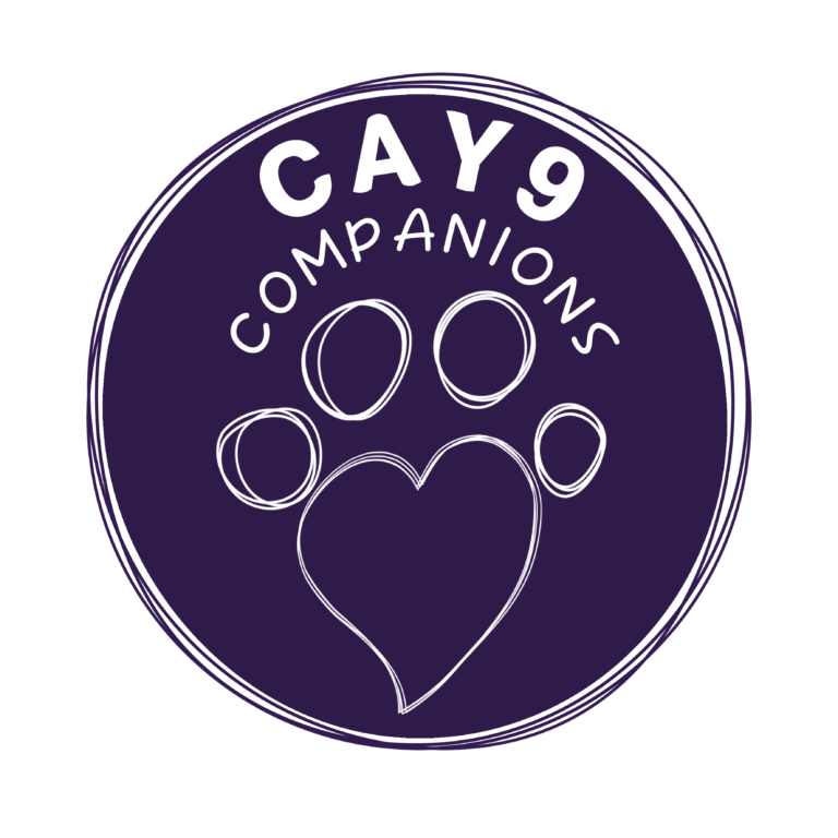 CAY9Companions.Logo .FINAL .onwhite 768x768