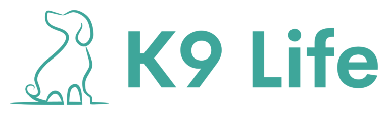 Color logo with background 15.23.55 768x228