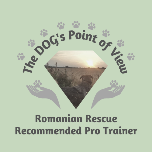 RR PRos Badge